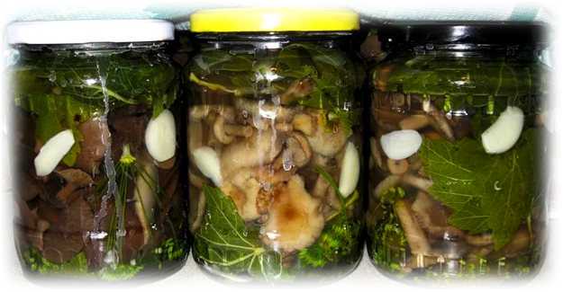 Сколько и как хранить соленые грибы в холодильнике, подвале, морозилке