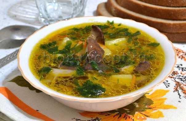 Как сварить суп из маринованных опят. рецепты супов с опятами