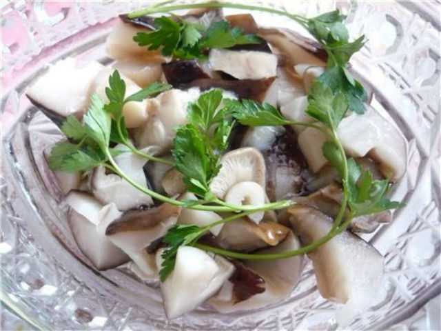 Что можно делать с грибами рядовками: рецепты соления, жарки, маринования и запекания