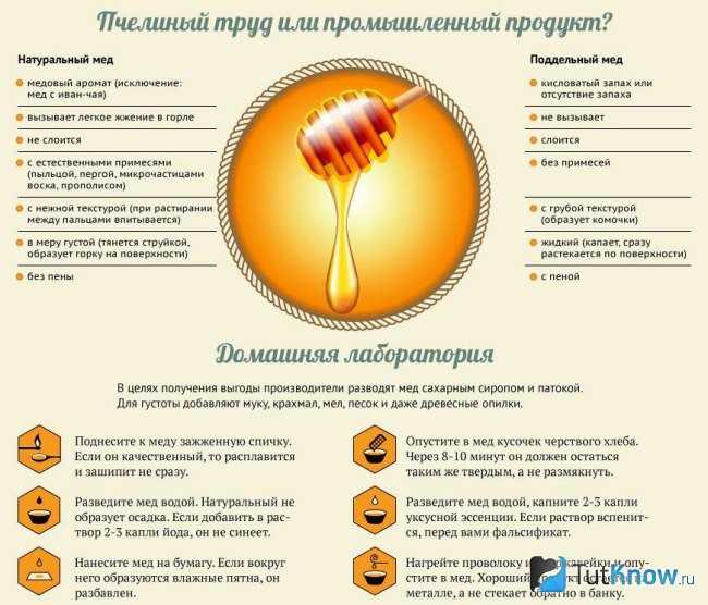 8 способов проверки меда: как нас обманывают продавцы и пчеловоды - новости yellmed.ru
