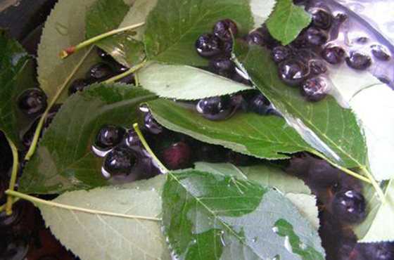 Варенье из черноплодной рябины - лучшие рецепты с фото