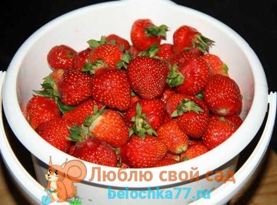 Варенье из клубники с целыми ягодами по классическим рецептам
