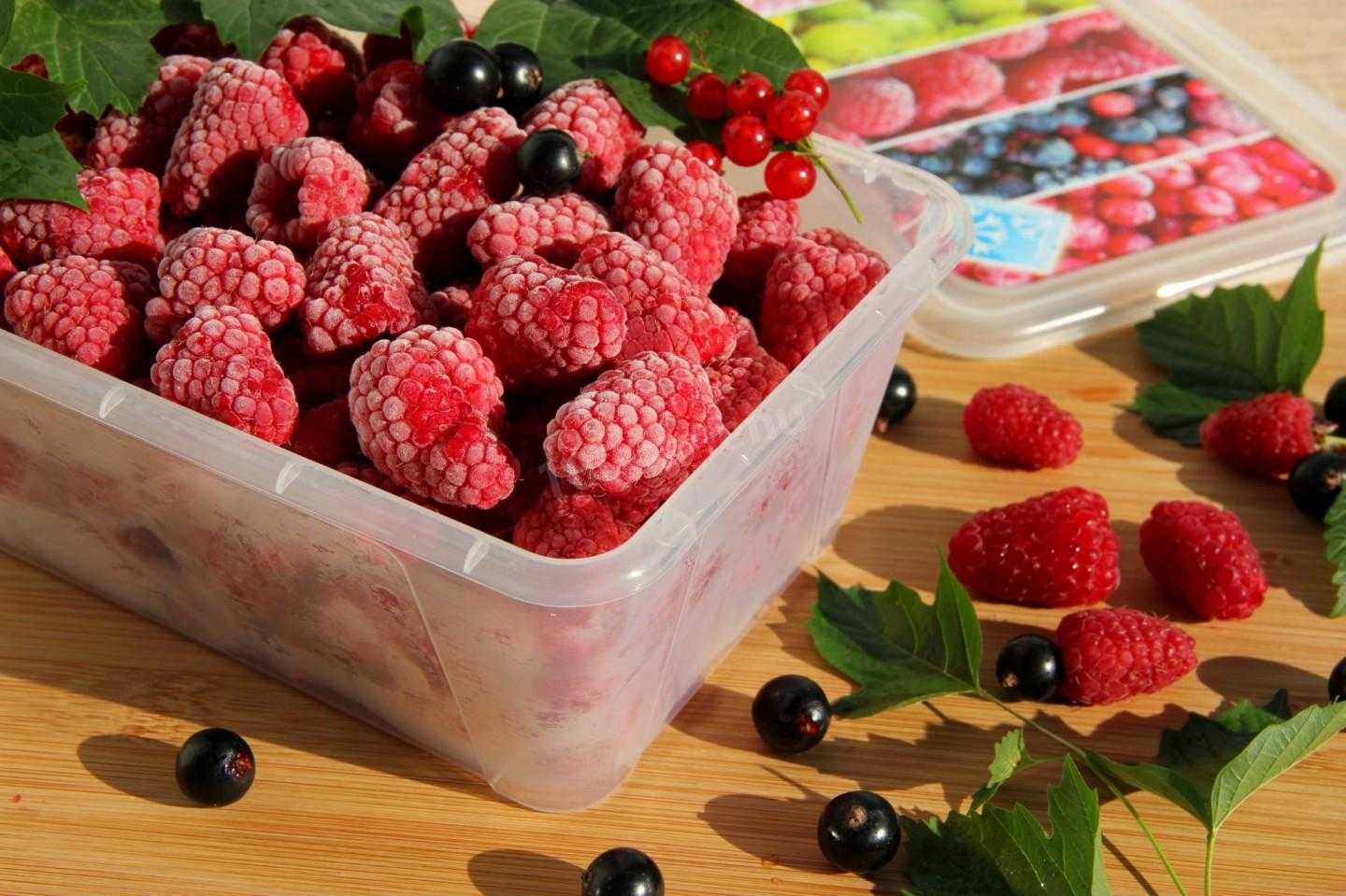 Можно ли заморозить ягоды крыжовника на зиму в морозилке Способы заморозки: целиком с сахаром в сиропе в виде пюре с другими ягодами Варианты использования замороженных ягод Правила хранения и размораживания