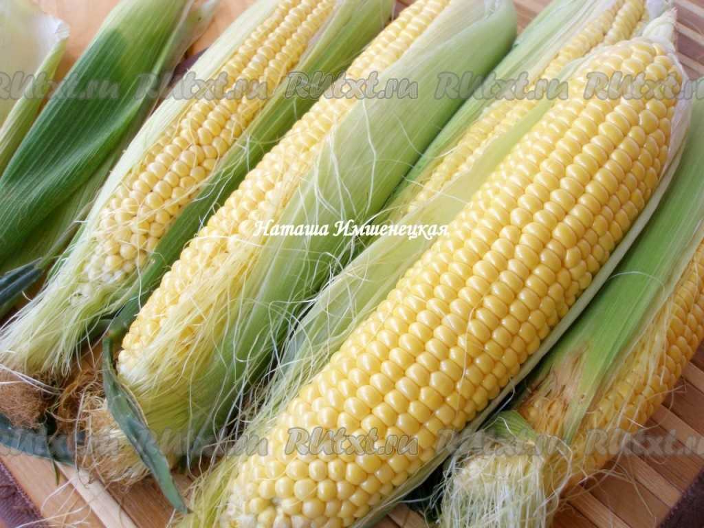 Как хранить кукурузу в початках в домашних условиях: правильная подготовка овощей и создание оптимальных условий для их сохранности