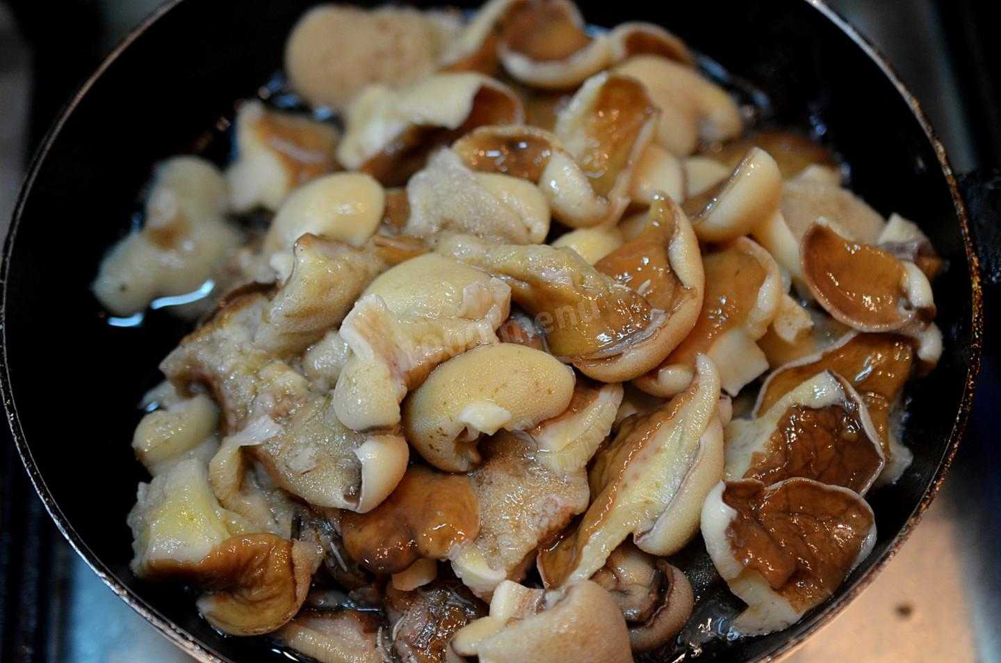 Жареные грибы на зиму - рецепты приготовления в банках без стерилизации, в растительном масле, пошагово с фото и видео