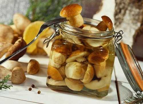 Маринованные грибы – рецепты: холодный и горячий способы маринования грибов