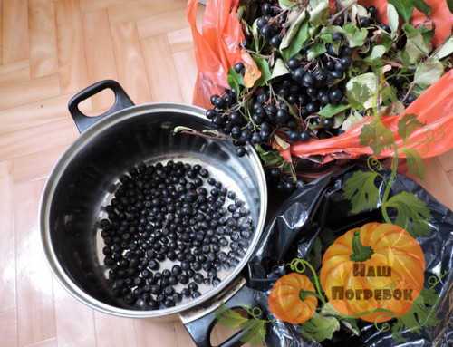 Варенье из черноплодной рябины (аронии): рецепты домашних заготовок