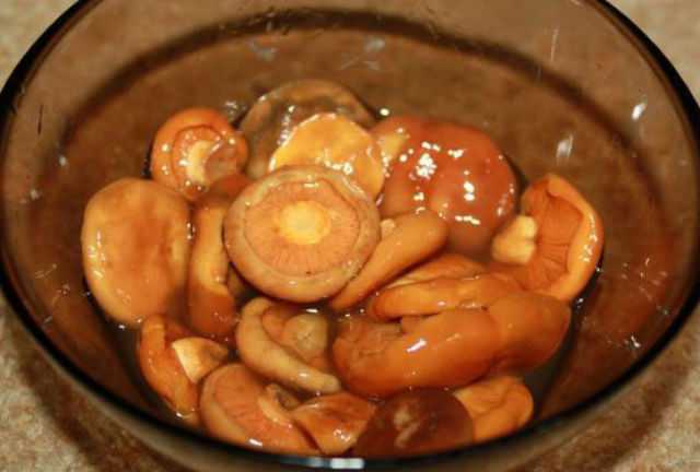 Как сушить грибы в домашних условиях - 5 способов сушки