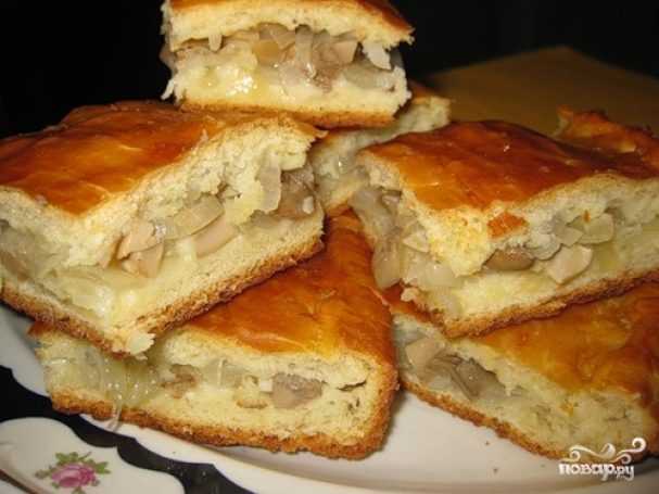 Пирог с груздями: солеными и свежими, как приготовить в духовке, лучшие рецепты