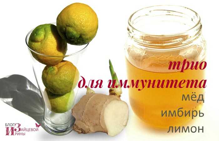 Имбирь с лимоном и мёдом: рецепты для здоровья и иммунитета, как приготовить напиток с чесноком для похудения, отзывы