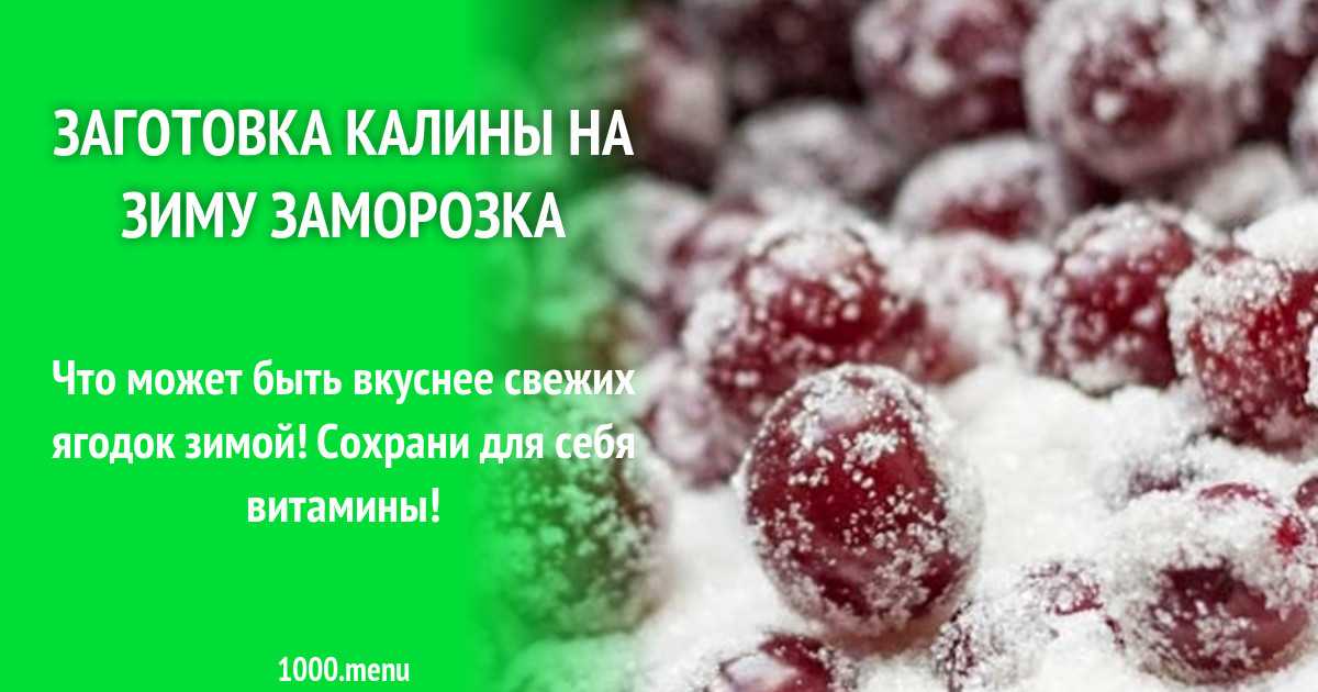 Что можно приготовить из калины в домашних условиях? что можно сделать из замороженных ягод калины: рецепты