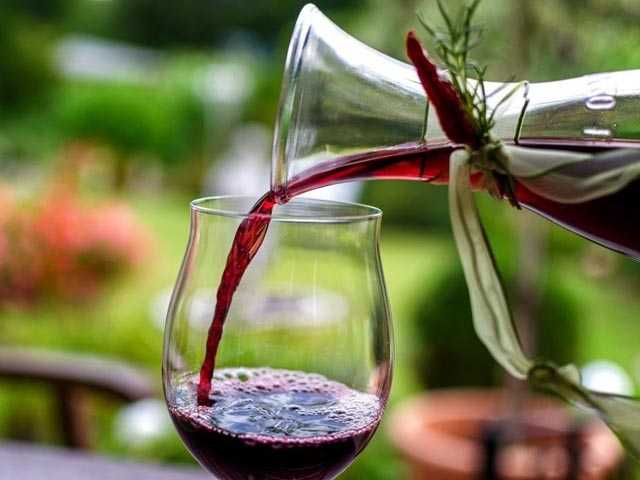 Вино из винограда изабелла в домашних условиях