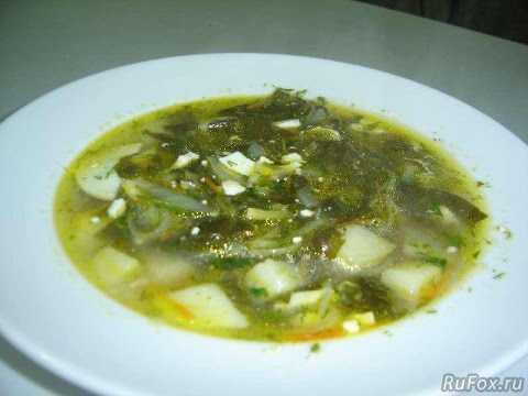 Щавелевый суп – классические рецепты супа из щавеля с яйцом