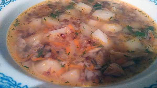 Суп из сушеных грибов: классический рецепт приготовления