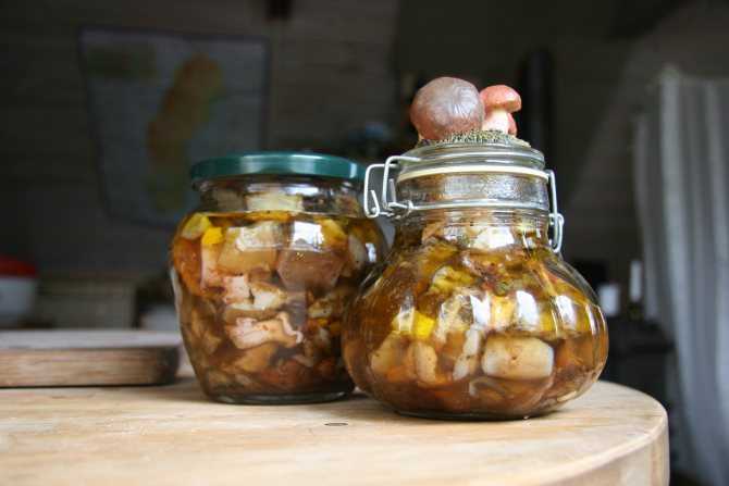Можно ли замораживать соленые грибы | заготовки на зиму