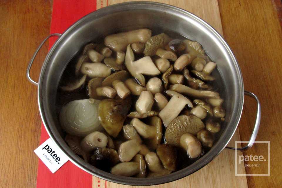 Заморозка грибов различными способами на зиму в домашних условиях