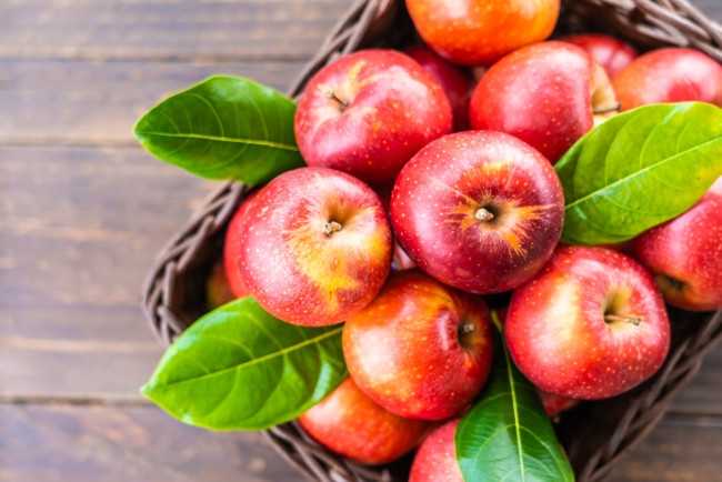 Яблоки моченые. польза и вред моченых яблок