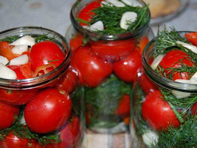 Соленые помидоры в домашних условиях (рецепты быстрого приготовления)