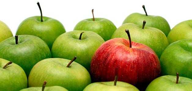 Польза и вред яблок для организма человека