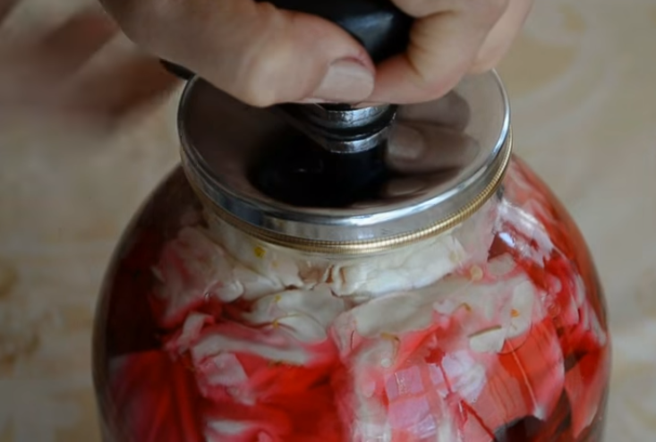 Соленая капуста со свеклой быстрого приготовления: домашние рецепты