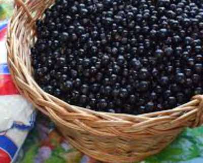 15 вкусных рецептов приготовления джема из черной смородины на зиму