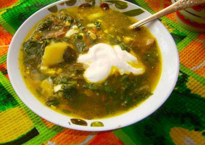 Как приготовить вкусный суп из крапивы — пошаговый рецепт