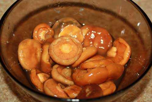 Как приготовить рыжики без варки: можно ли жарить, солить и мариновать грибы без отваривания