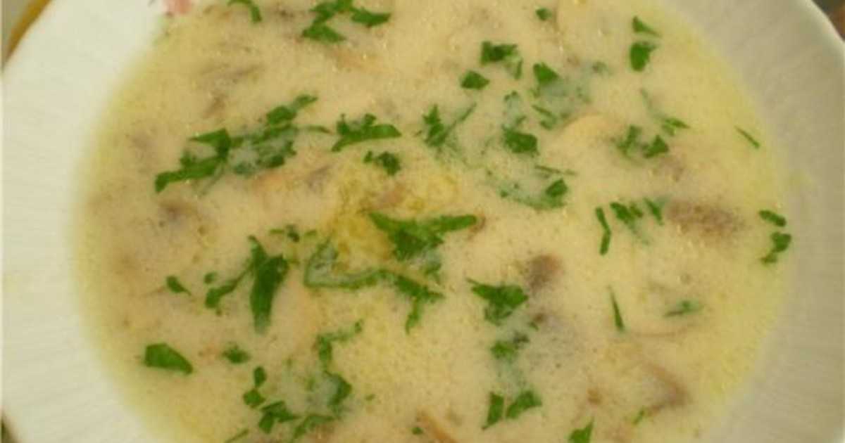 Суп с маслятами свежими или замороженными - вкусные рецепты приготовления грибных первых блюд с фото