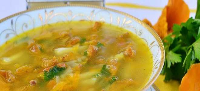 30 лучших рецептов супов из курицы и ароматного куриного бульона