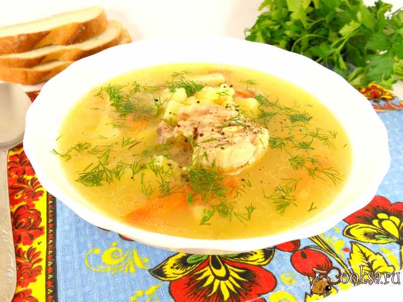 Суп из белых грибов – самые вкусные рецепты горячего блюда