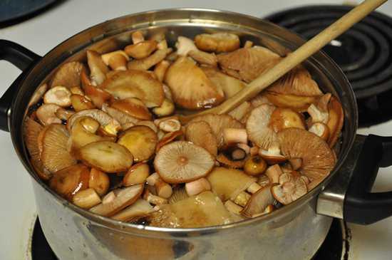 Как правильно заморозить свежие грибы на зиму в домашних условиях – сколько и как хранить