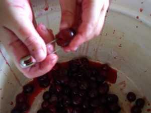 Варенье из вишни и малины на зиму: рецепты, как приготовить