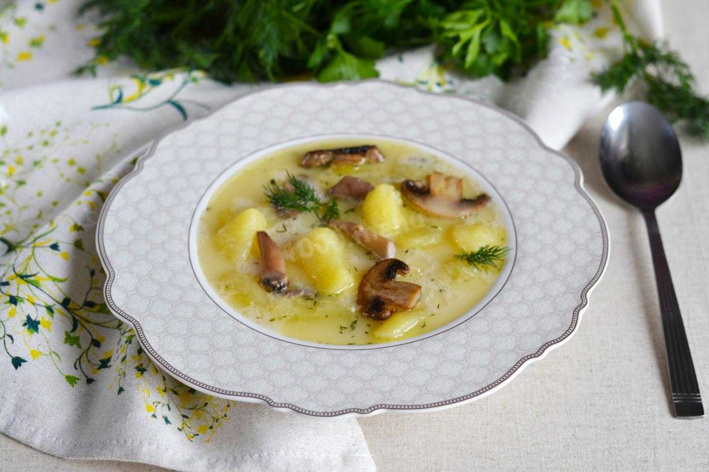 Суп из сушеных грибов — лучшие рецепты. как правильно и вкусно сварить суп из сушеных грибов.