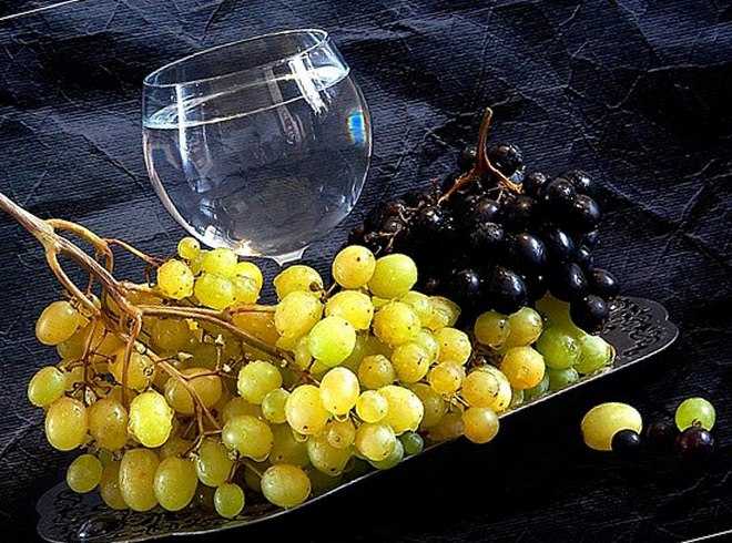 Чача из винограда в домашних условиях: рецепт самогона из жмыха (мезги) изабеллы