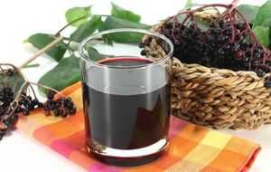 Настойка из черноплодной рябины на водке: польза и вред, рецепты, видео