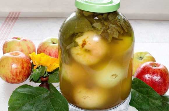 Квашеные яблоки: рецепты для заготовок на зиму в бочке и банках, а также быстрое приготовление в домашних условиях русский фермер