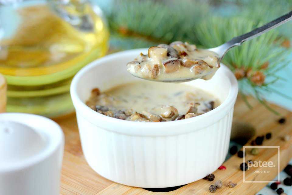 Соус из белых грибов рецепт с фото - 1000.menu