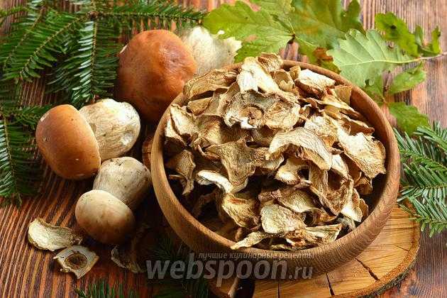 Как сушить грибы дома и в лесу: на ветке, на нитке или в духовке