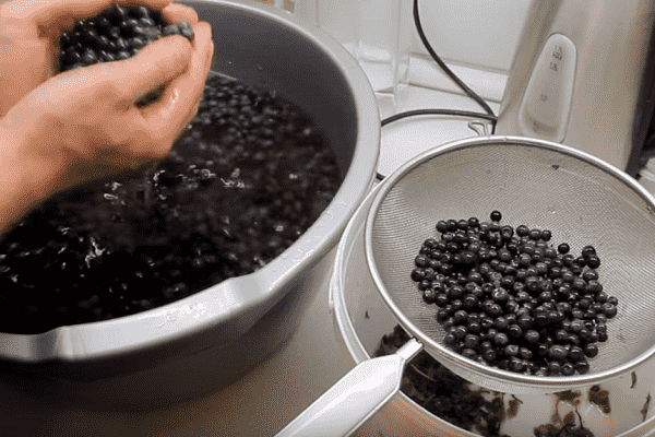 Заготовка черники на зиму | кулинарные рецепты