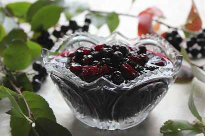 Заготовка черноплодной рябины на зиму: лучшие рецепты, без сахара, без варки