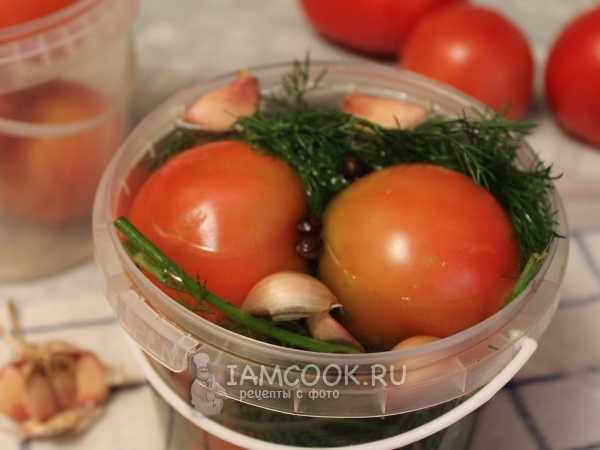 Соленые помидоры в банках на зиму холодным способом. как солить и мариновать помидоры?