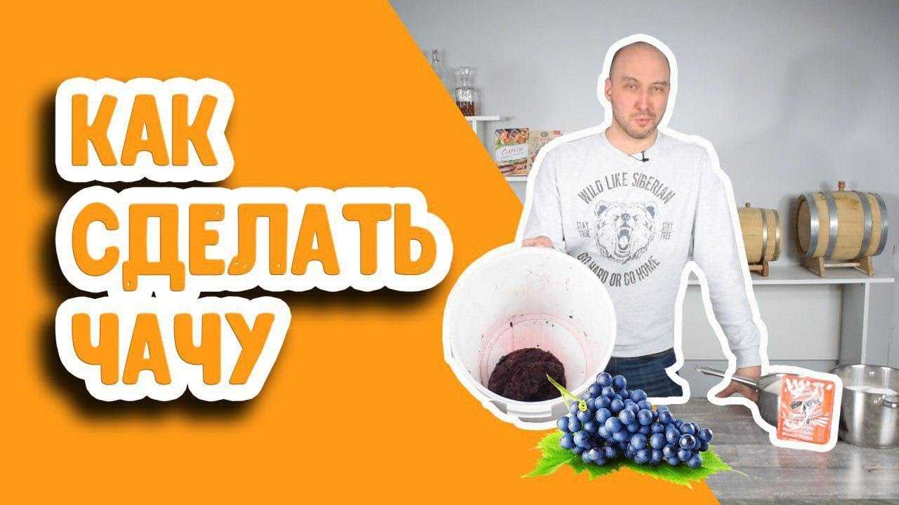 Чача из винограда в домашних условиях: простой рецепт