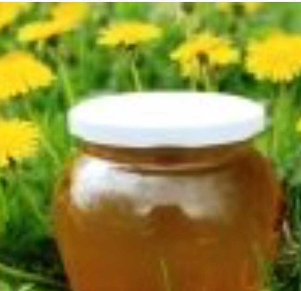 Варенье из одуванчиков — рецепт приготовления. как сварить одуванчиковый мед в домашних условиях?