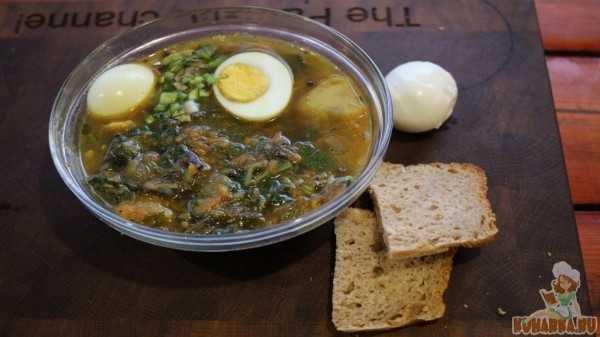 Супы из крапивы: как варить суп из крапивы с яйцом