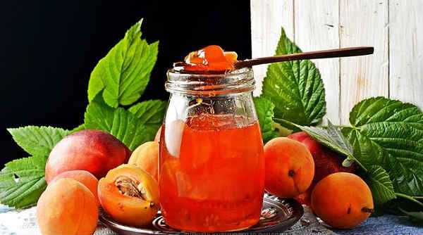 Желе из абрикосов – яркость красок и вкусов. подборка различных рецептов приготовления желе из абрикосов