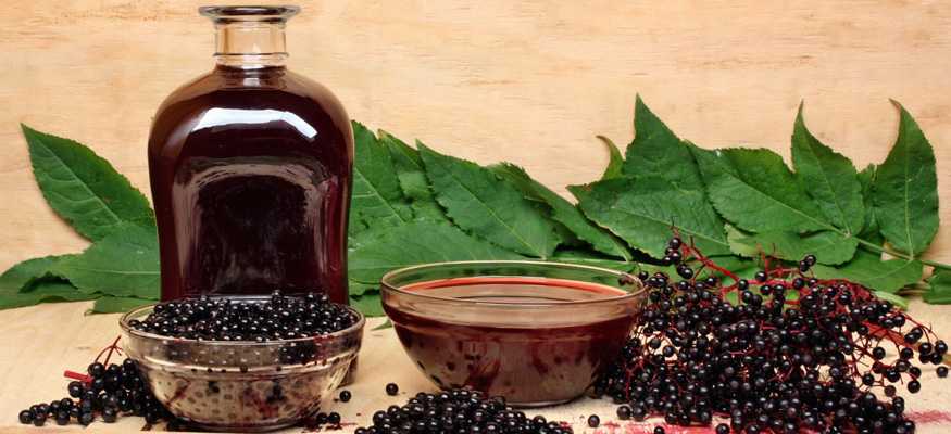Рецепты домашнего ликёра из черноплодной рябины и листьев вишни