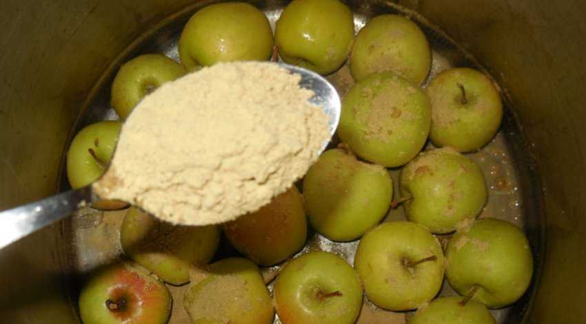 Яблоки моченые: 4 рецепта домашнего приготовления