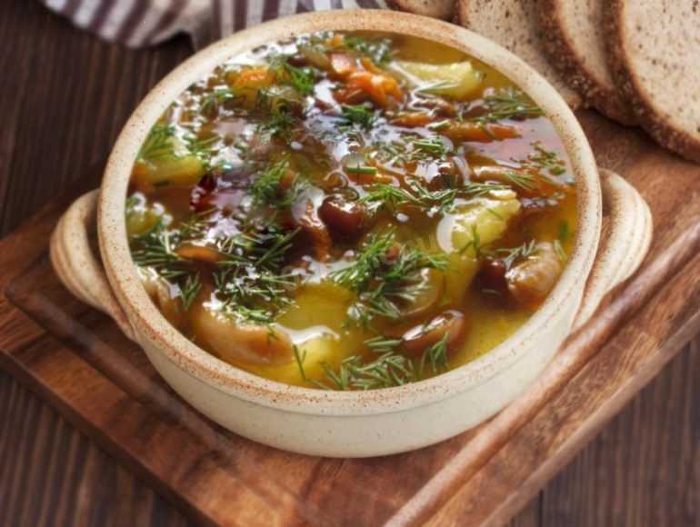 Суп грибной из подосиновиков – популярные и вкусные рецепты