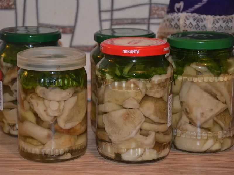 Как засолить грузди быстро и вкусно: пошаговые рецепты приготовления грибов холодным и горячим способом. Правила хранения заготовки.