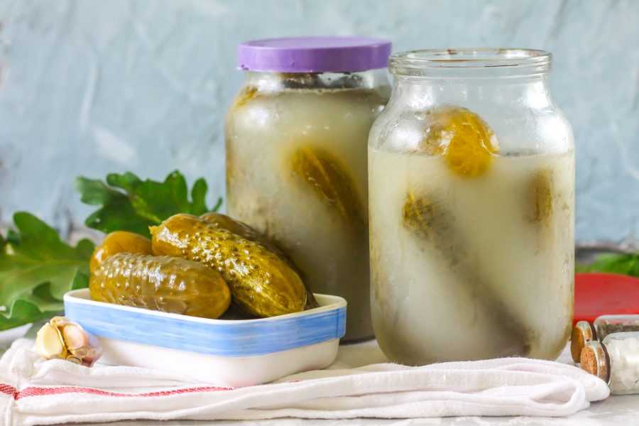 Огурцы в горчичной заливке на зиму: рецепты маринования с фото